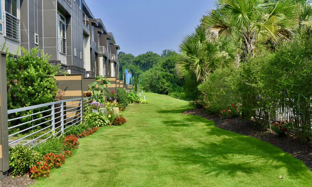 Lawn and Fertilizer services for apartments 