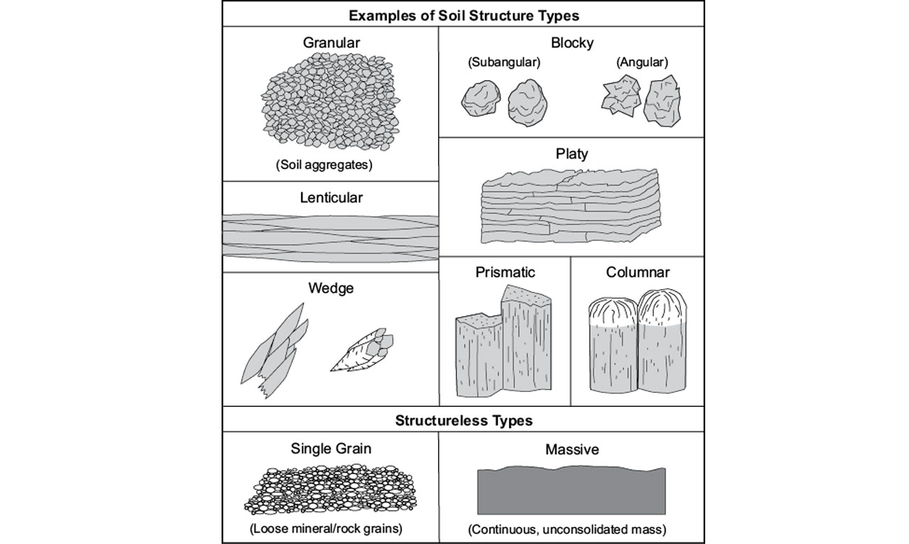 Examples of Soil Types. Images from https://kstatelibraries.pressbooks.pub/soilslabmanual/chapter/soil-texture-and-structure/ courtesy of the USDA-NRCS.